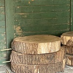 9x Eikenhouten schijf